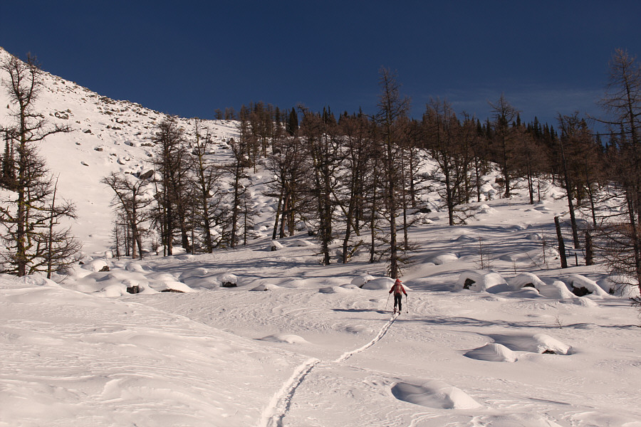 Might be a good place to come back to in the fall.