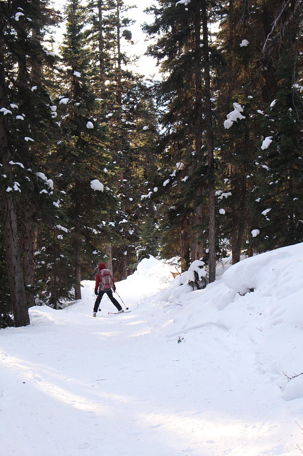 Best...ski...descent...ever!