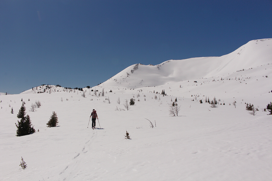 Good day for ski touring but not for skiing!