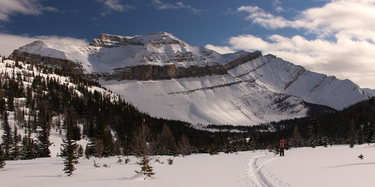 It sucks when I still have to work hard to go downhill!