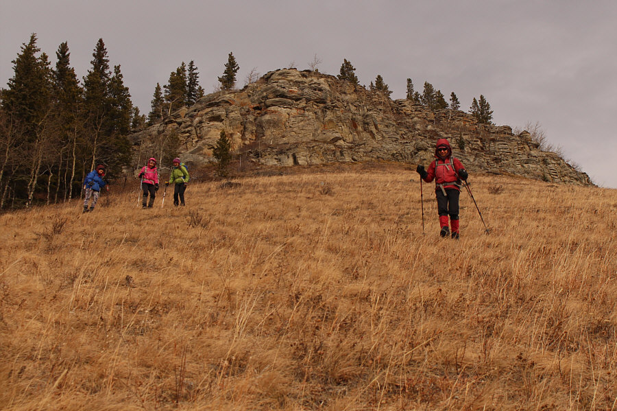 Here's to all the ladies!