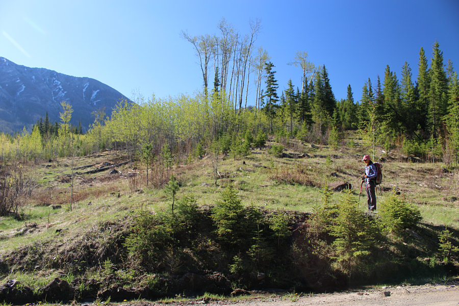 Looks easy enough...