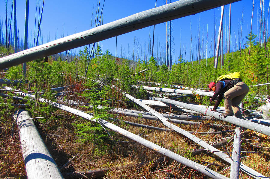 Brings back nightmares about Chancellor Peak!