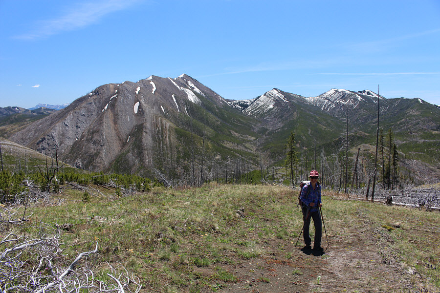 Wow, there's actually some ground here NOT covered with deadfall!