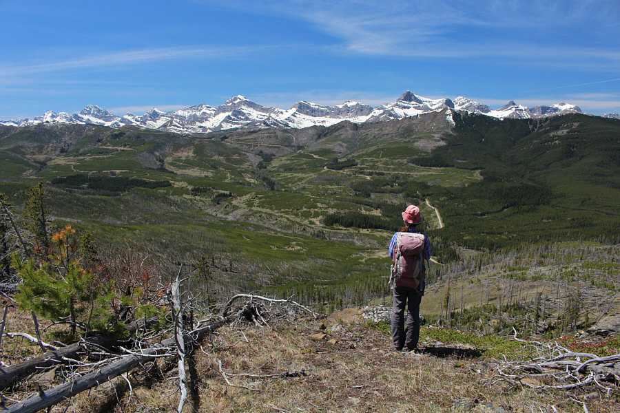 I can breathe again!