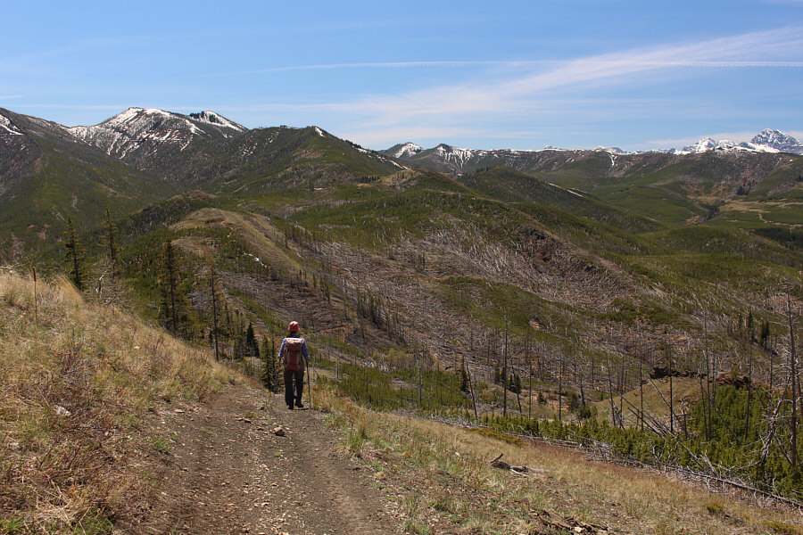 What? We're not bushwhacking anymore??