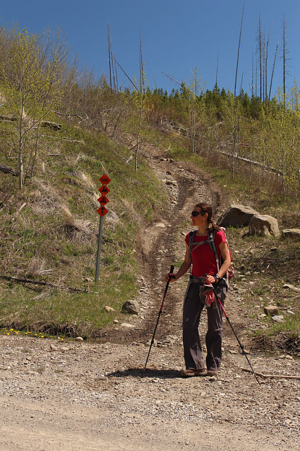 We should have gone up this way!