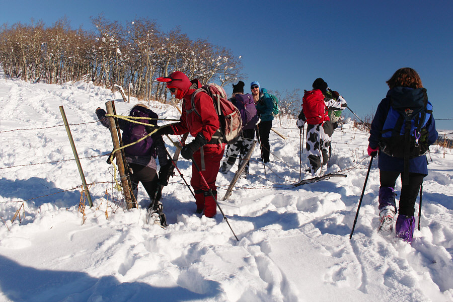 The Devil is in the details...