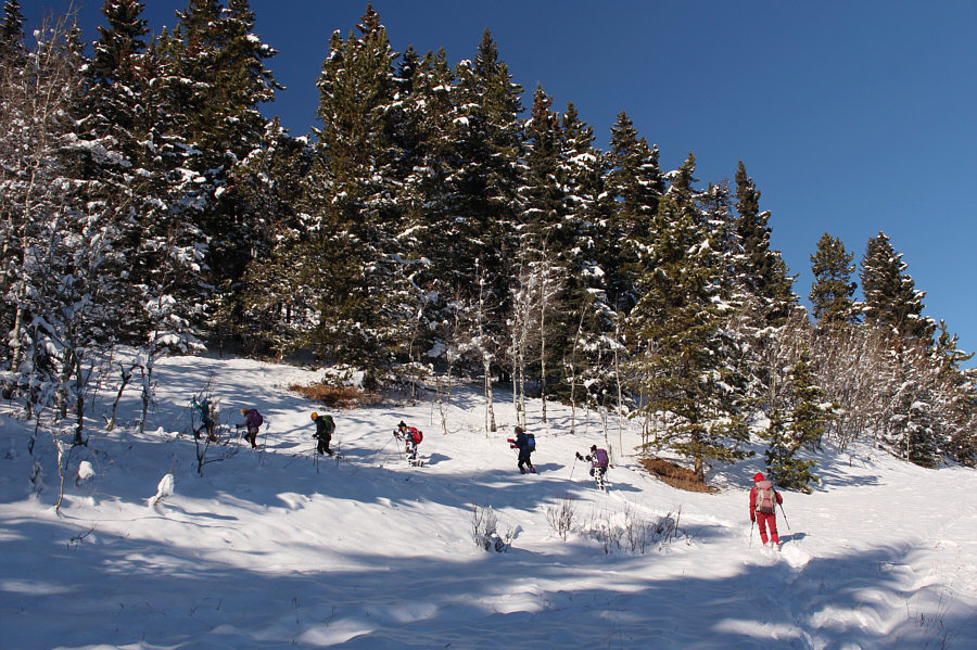 We also could have gotten up onto the ridge by staying on the well site road!