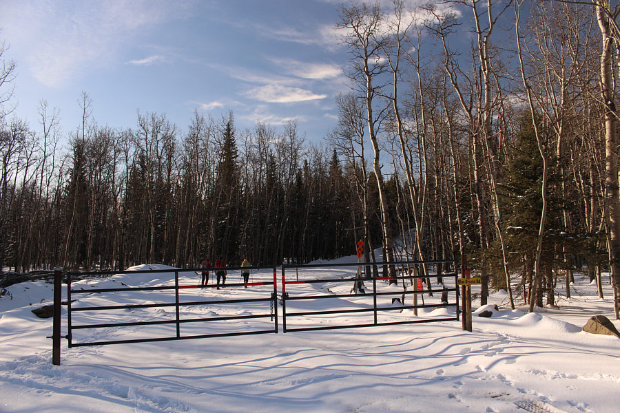 Hmmm...wasn't expecting all this snow...