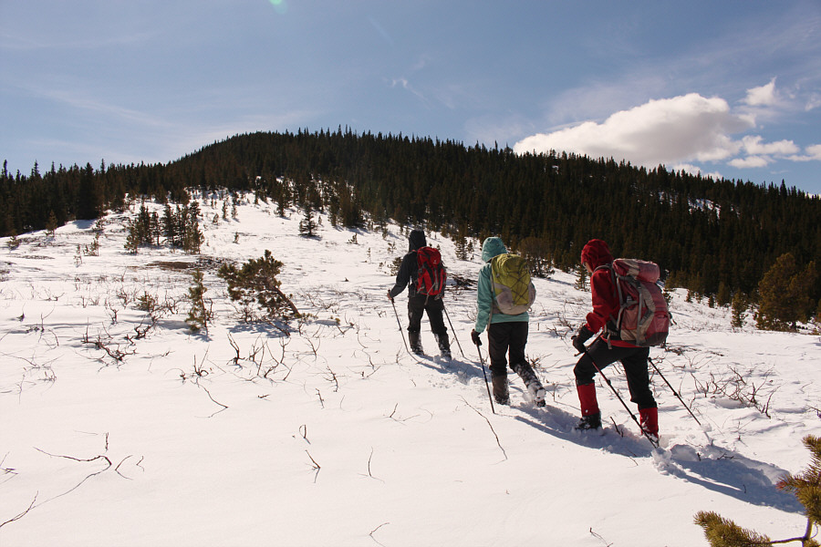 We're not out of the woods just yet!