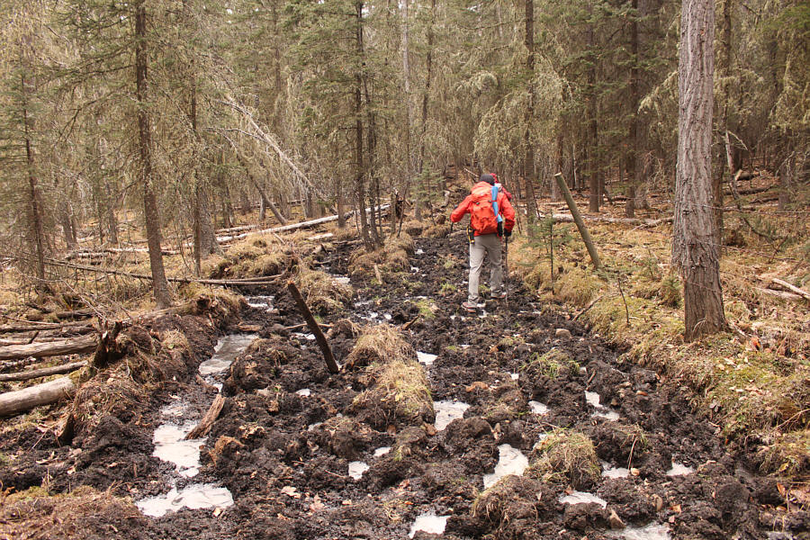 It's best to hike this when the ground is frozen.