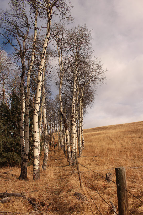 Reminds me of a few tough disc golf holes...