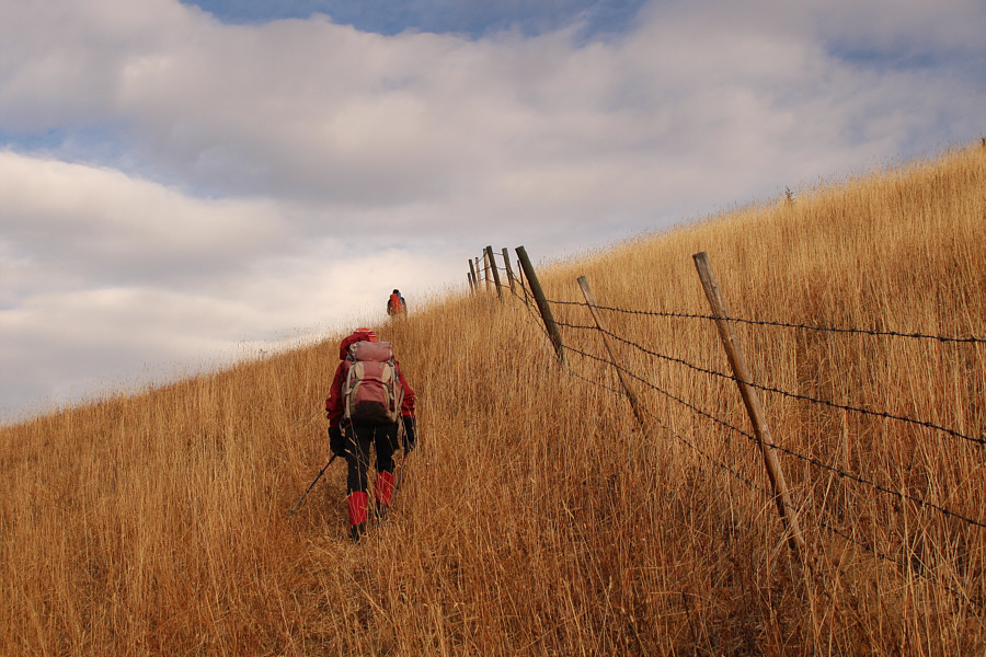 But, sadly, not the high point of John Ware Ridge.