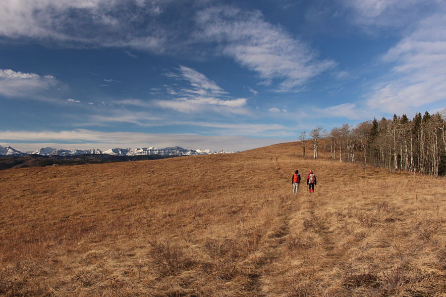 I think we're gonna make it!