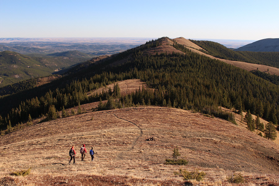 We're just getting started!