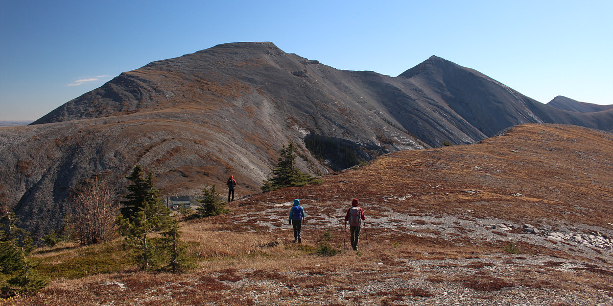 Looks a bit daunting to get up there...