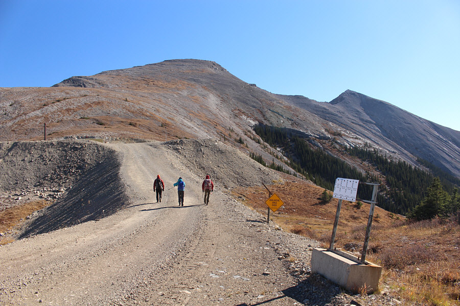 I wonder if they would allow people to bike up here...