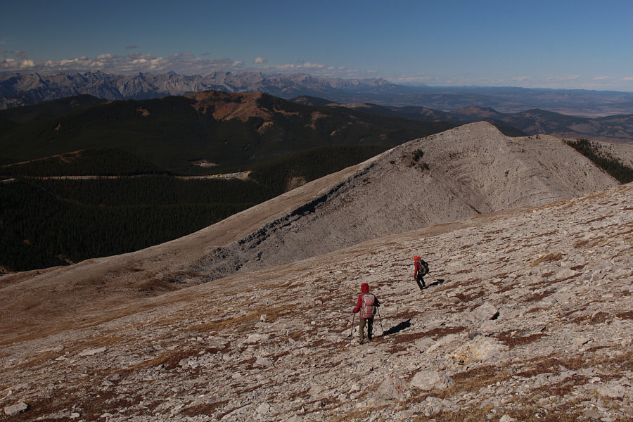 This would be a great slope for skiing in winter...if there was enough snow!