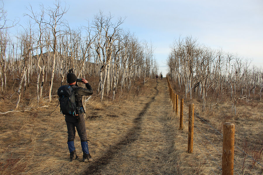 A very pleasant walk in itself.