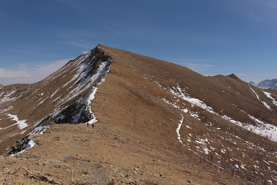 Sounds like a great plan to me!