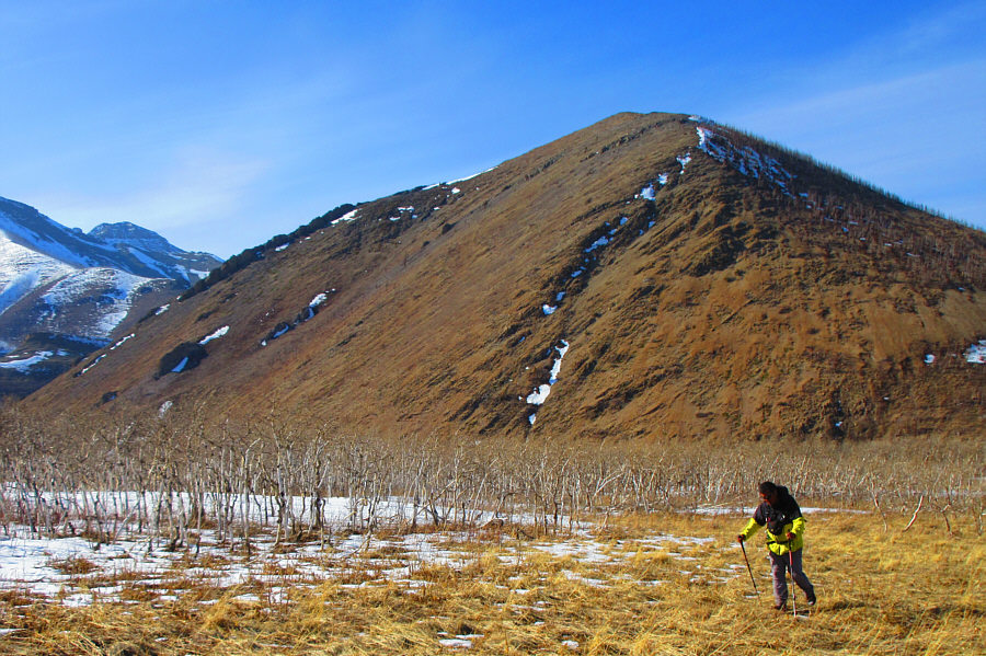 You can tell that I'm tired!