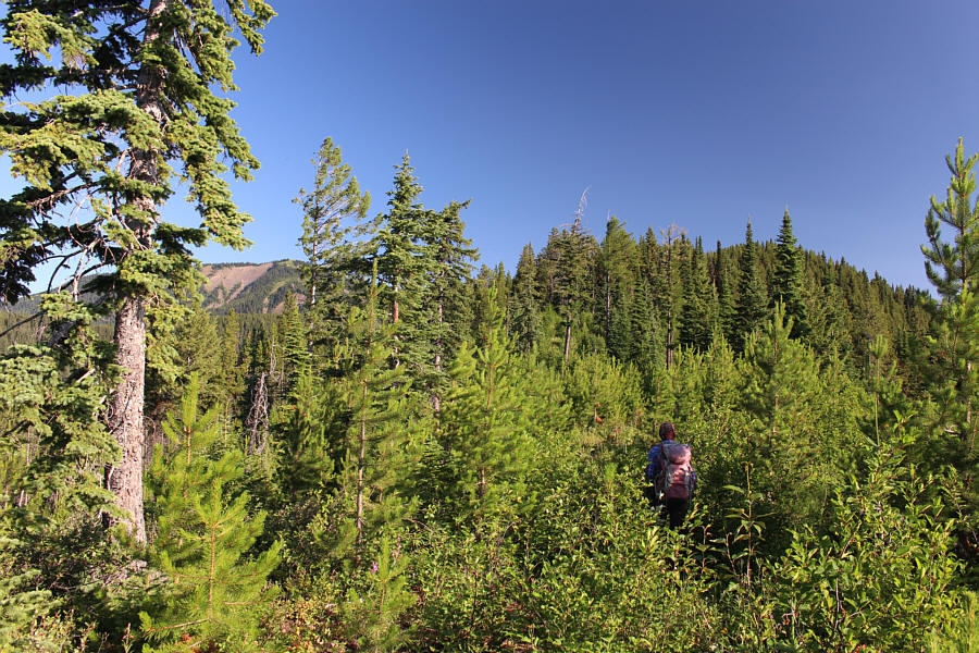 Doesn't look so promising at first...