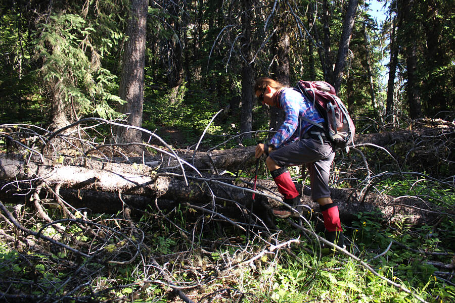 Anyone bring a chainsaw?