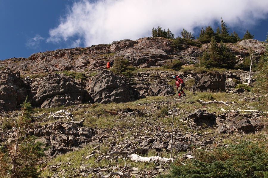 And I almost fell to my death!