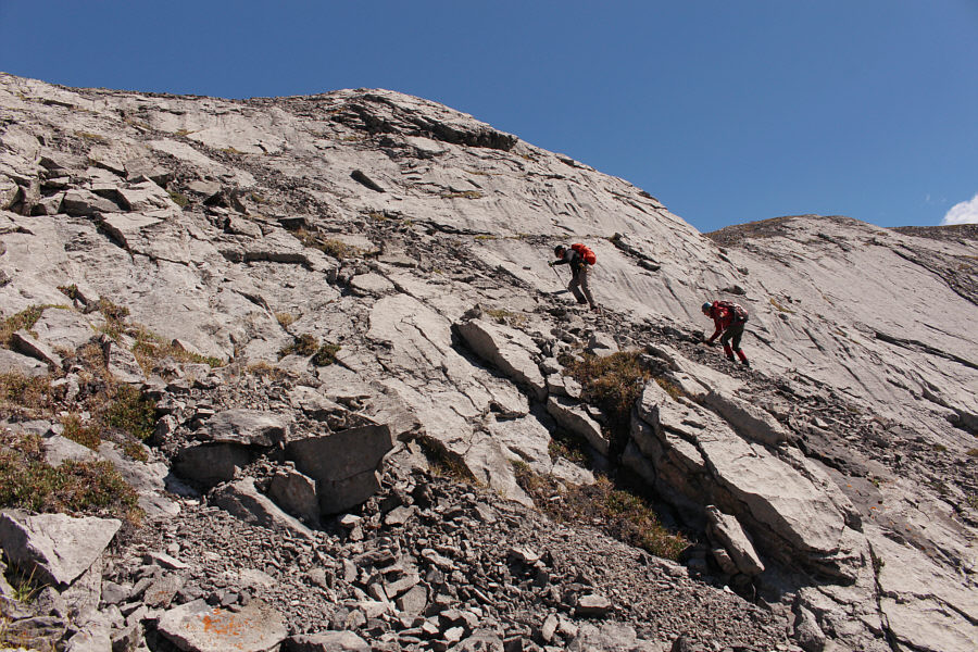 Stick to good ol' rubble!