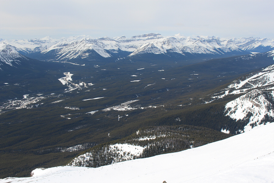 Pandemic? What pandemic?