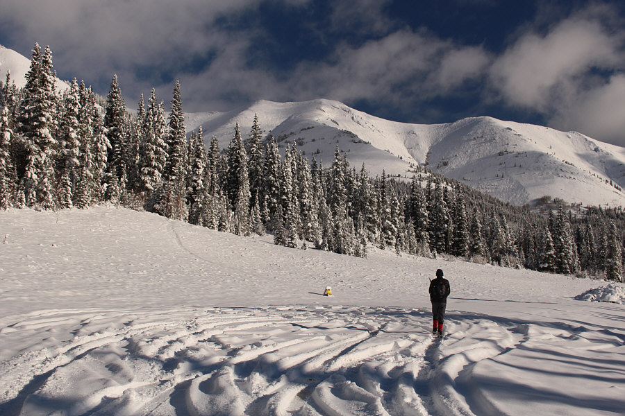 I wonder what the hunters were hunting...