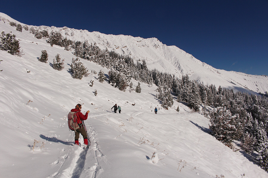 We're not out of the woods just yet!