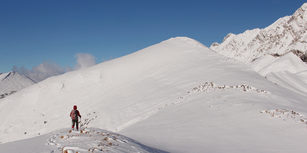 The wind really bites here!