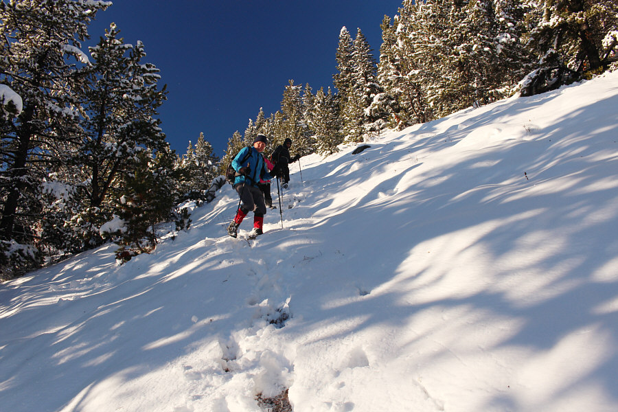 The short cut is more efficient for the descent than the ascent!
