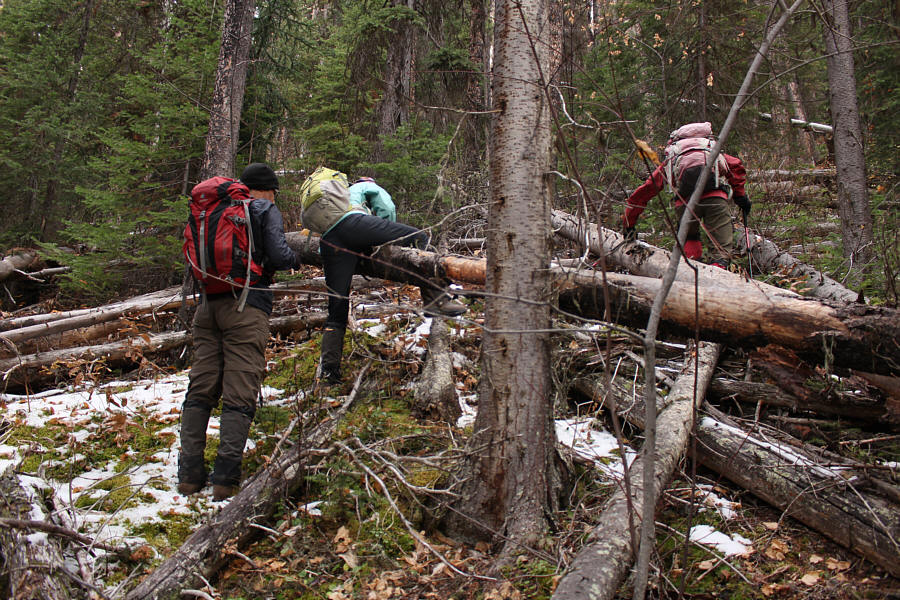 This route is best avoided!