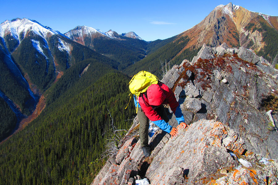 Making Zosia nervous...