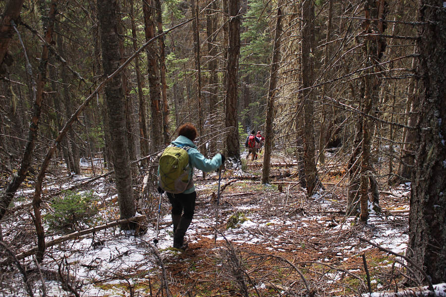 We should have ascended this way!