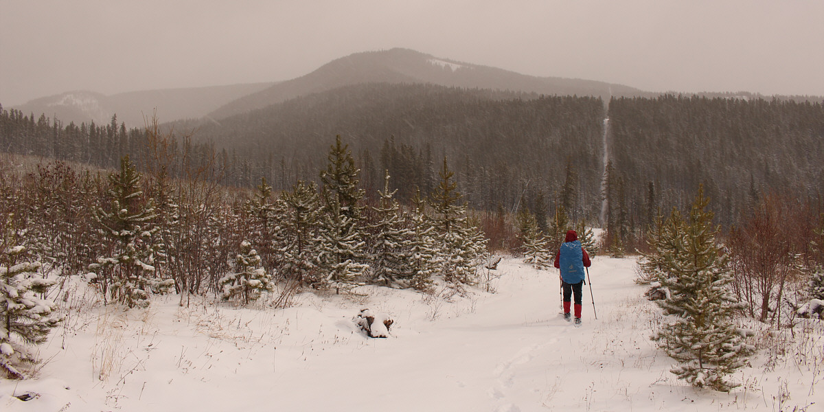 Well, I guess we won't get lost on the cut line, but there must be a better route than this one!