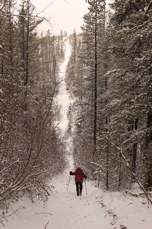 Okay, skis would have been bad here!