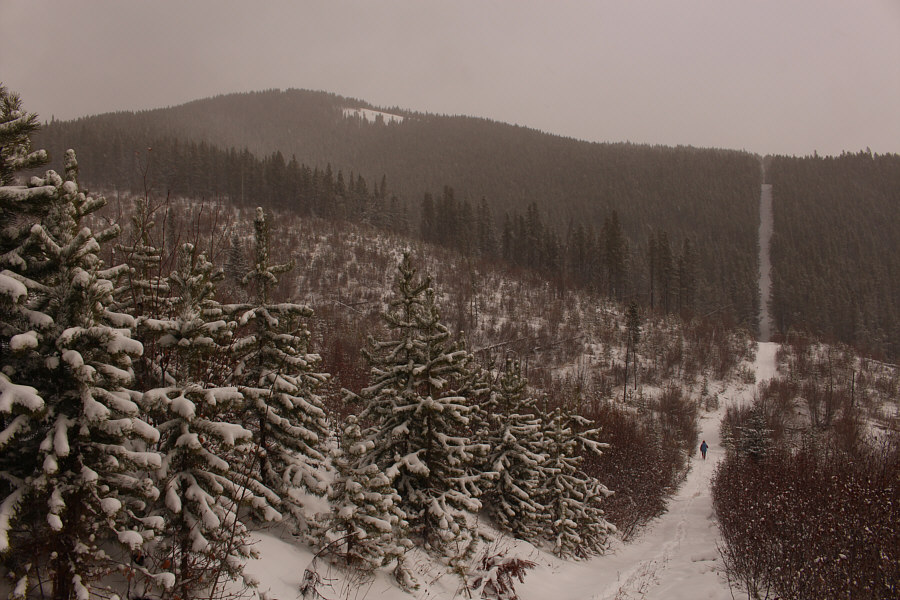 Yep, this route sucks!