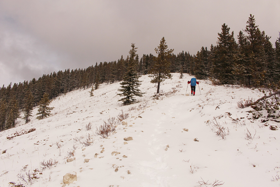 With more snow, this could be a good ski...