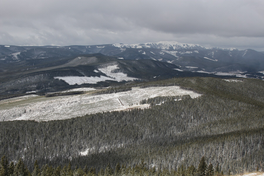 And there's not much except clear-cuts between here and there.