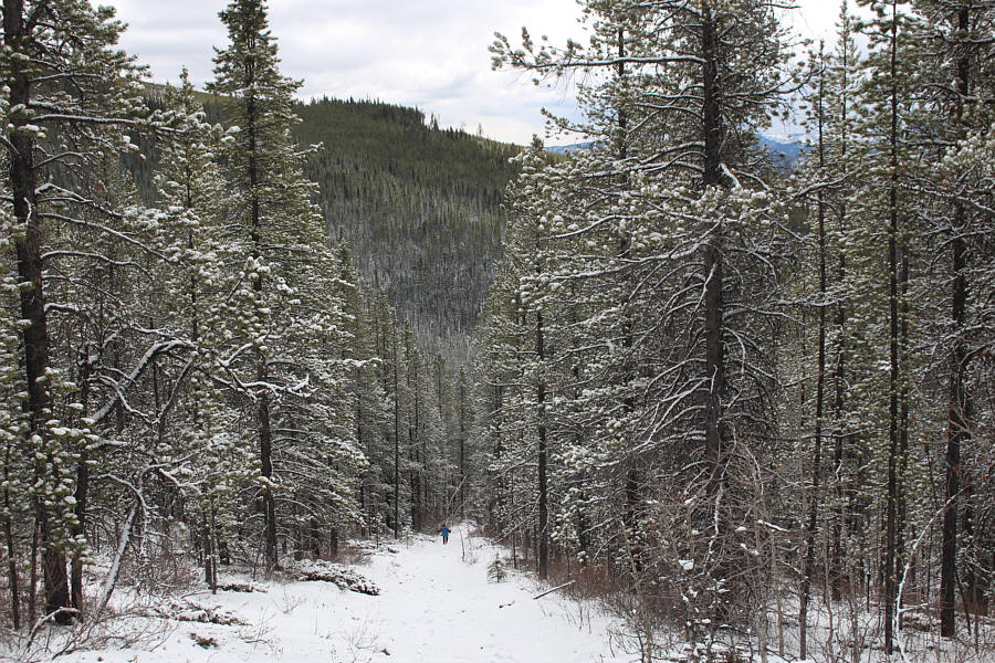 It would be a grind to come up this way, but it's a quick no-nonsense plunge back down.