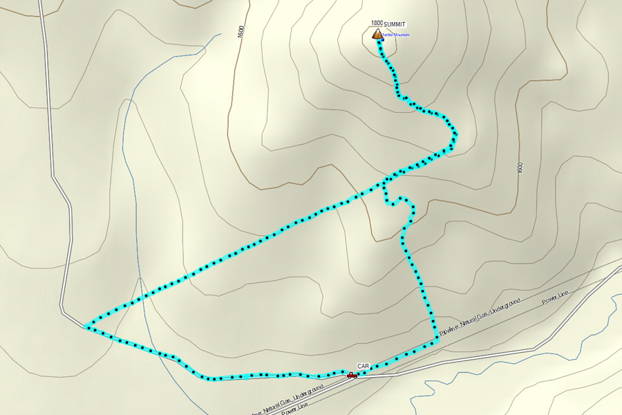 Not really worth the long drive but suitable when time and energy are short or the weather sucks.