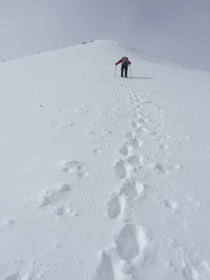 It's not super steep, but it's steep enough!