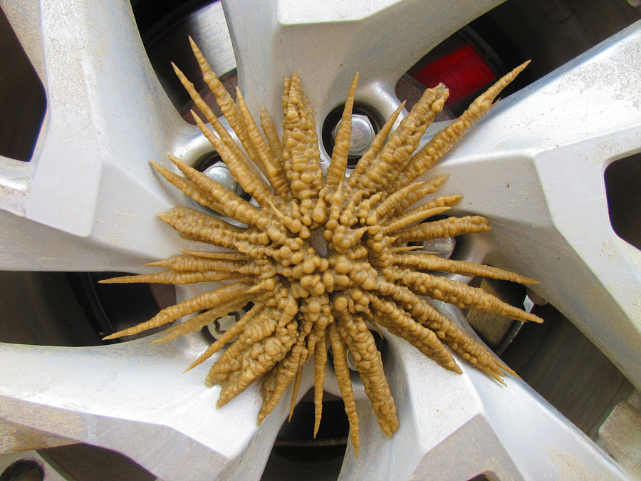 Like something out of Aliens...