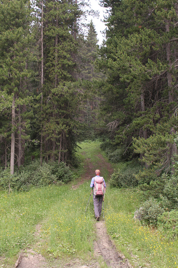 No bushwhacking so far!