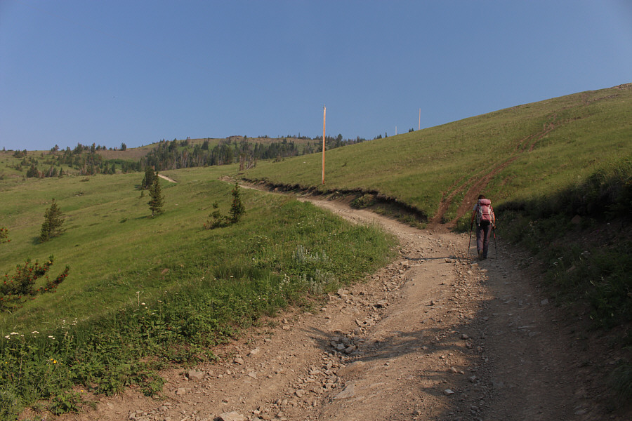 Watch out for OHVs on this road!