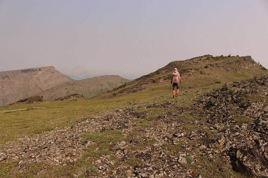 There she is! There she is! Ah...not so wounded as we were led to believe. So much the better!